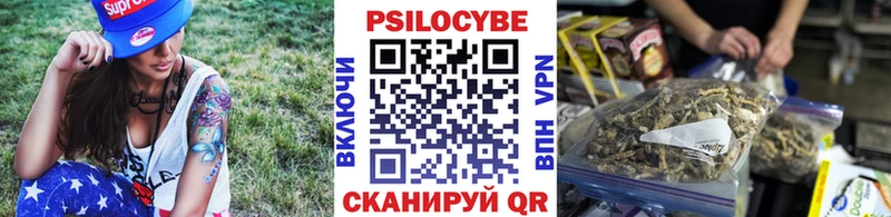 как найти   Куса  сайты даркнета наркотические препараты  Галлюциногенные грибы Psilocybe 
